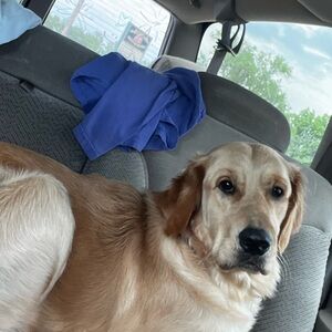 Meet your Posher, Piper